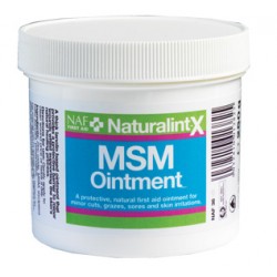 MSM OINTMENT