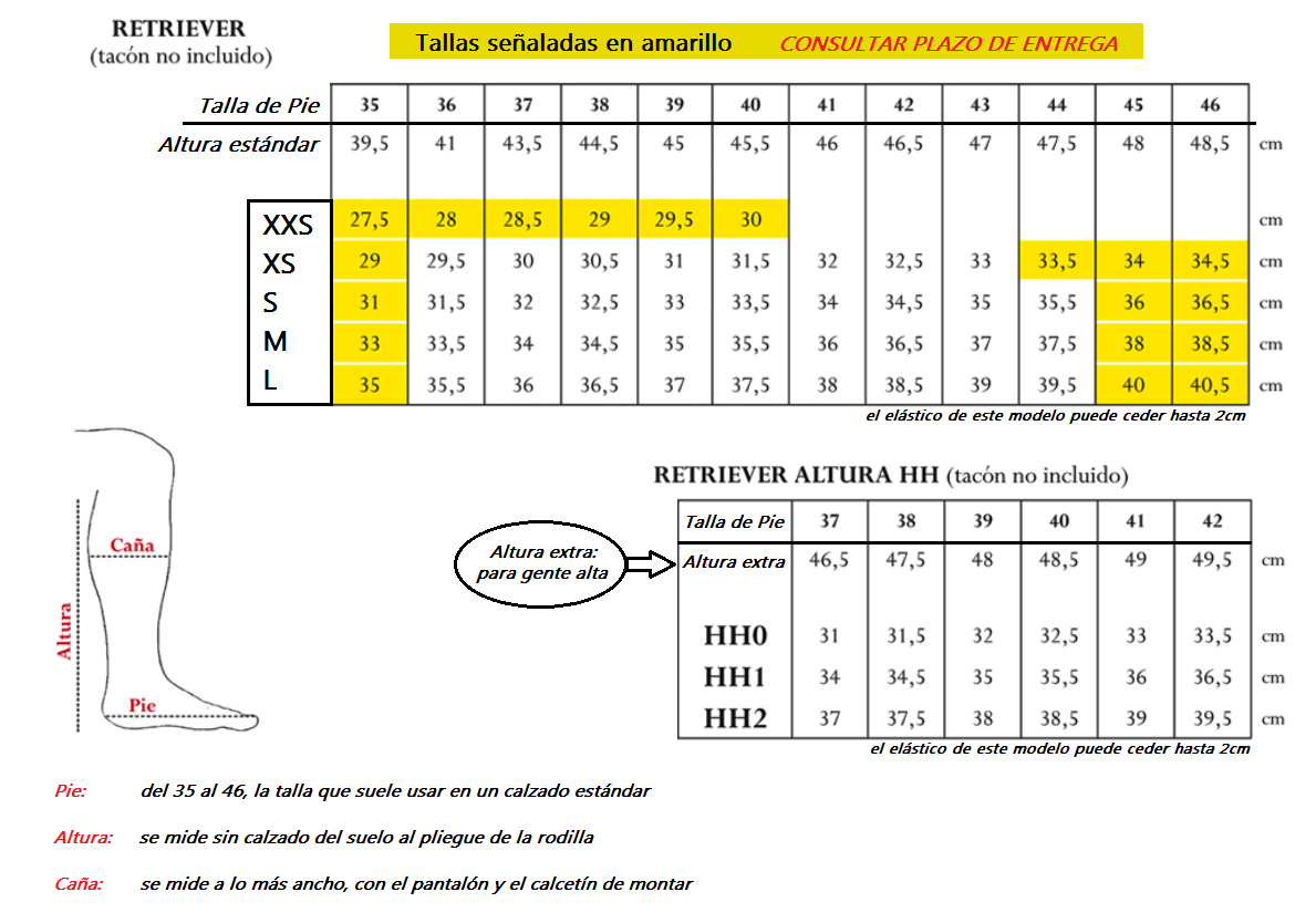 tabla medidas Tattini Retriever