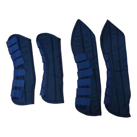 PROTECTOR TRANSPORTE ECONOMIC (JUEGO 4)