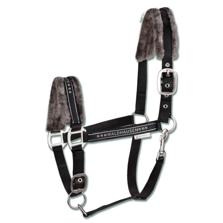 CABEZADA CUADRA WALDHAUSEN ELEGANT