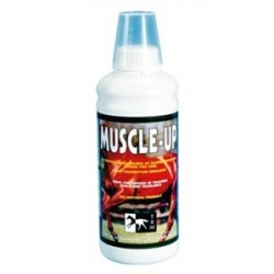MUSCLE UP 960 ML