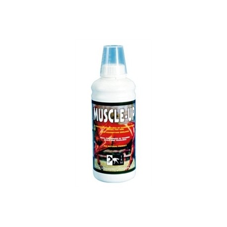 MUSCLE UP 960 ML