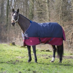 MANTA IMPERMEABLE EQUI-THEME TYREX 1200D ACOLCHADA 300G