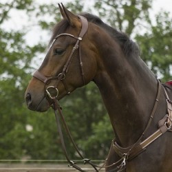 CABEZADA DE MONTAR SEDNA RIENDA SENCILLA