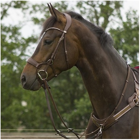 CABEZADA DE MONTAR SEDNA RIENDA SENCILLA