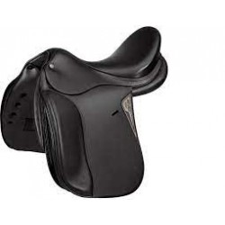 CHAMPU KILLITCH ANTIPICORES