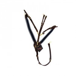 PECHOPETRAL CON ELASTICOS TIME RIDER