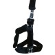 SILLA SALTO PESSOA LEGACY XP3