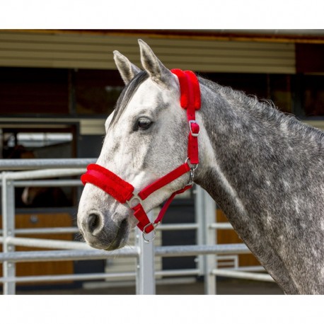 SILLA SALTO PESSOA AMO PRO