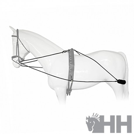 SISTEMA ENTRENAMIENTO TIPO PESSOA