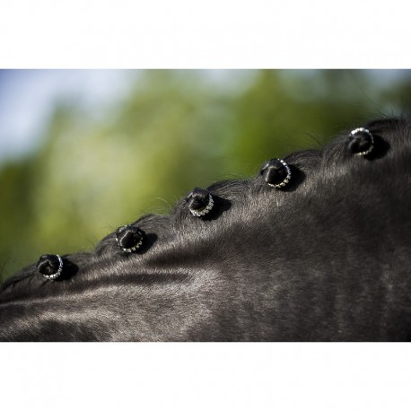 GOMA PARA TRENZAR EQUITHÈME "STRASS"