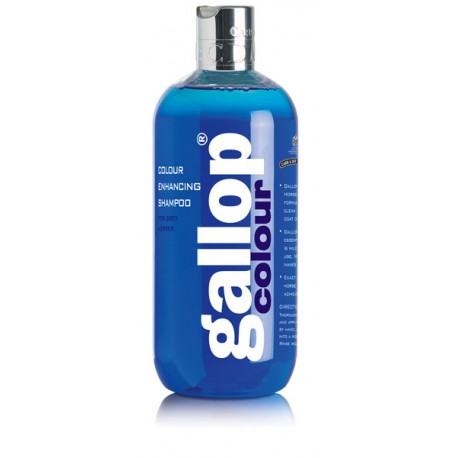 CHAMPU GALLOP CABALLOS TORDOS