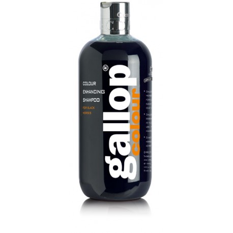 CHAMPU GALLOP CABALLOS NEGROS