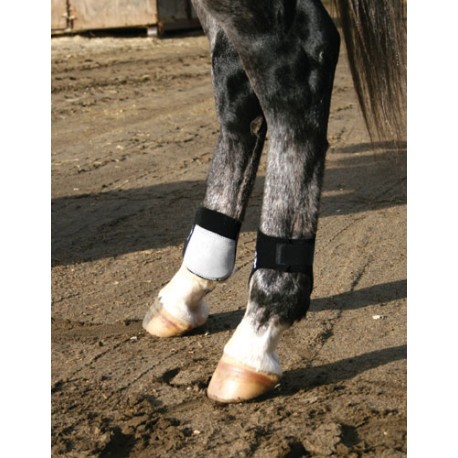 PROTECTOR PROFESSIONALS CHOICE MENUDILLO (PAR)