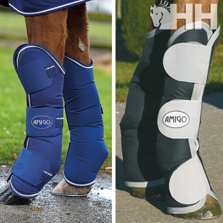 PROTECTOR TRANSPORTE AMIGO (JUEGO 4)