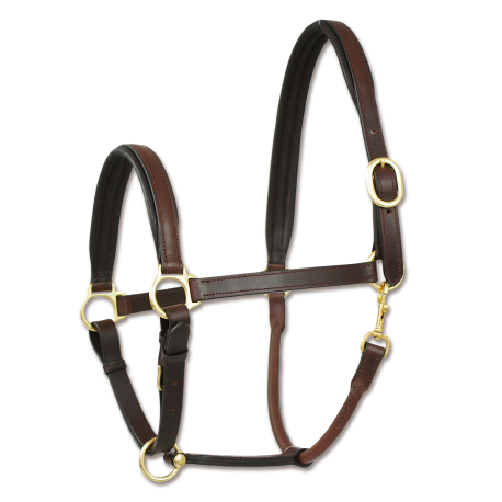 CABEZADA DE CUADRA CUERO WEMBLEY X_LINE FINESSE II