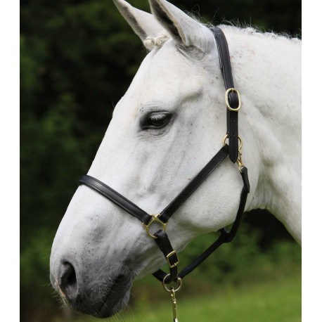 CABEZADA DE CUADRA CUERO STAR ROBUST