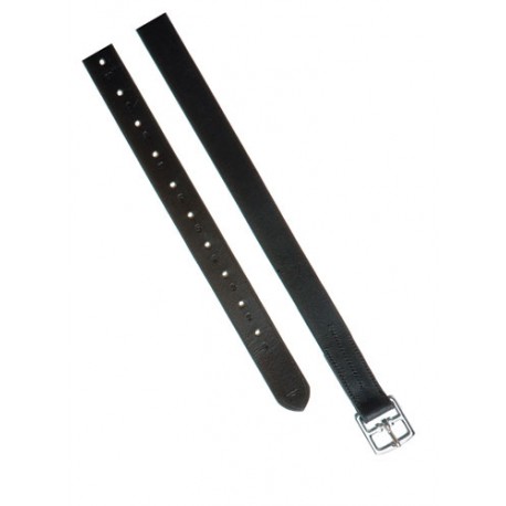 ACION CUERO HH ECONOMICA