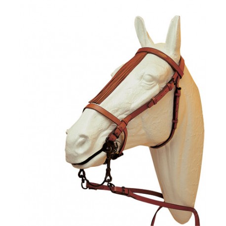 CABEZADA VAQUERA LUDOMAR JEREZANA