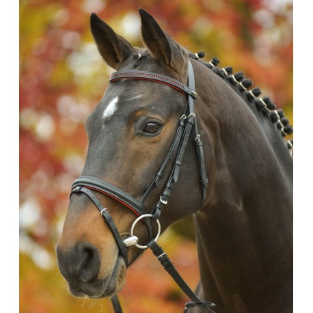 CABEZADA STAR DIAMOND