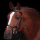 CABEZADA RAMBO MICKLEM COMPETITION BRIDLE (SIN RIENDAS)