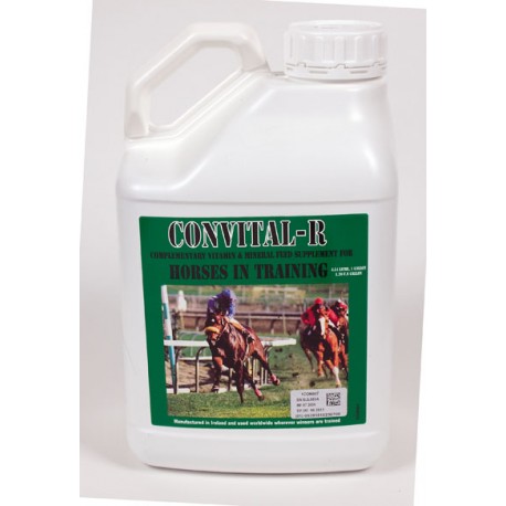 COMPLEJO VITAMINICO CONVITAL-R  4,5LT